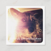 ペット足のinstagram 予約カード (裏面)