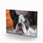 ペット追悼・愛犬の喪失 名前 写真 引用文 スクリプト (右)