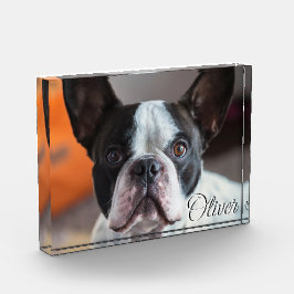 ペット追悼・愛犬の喪失 名前 写真 引用文 スクリプト