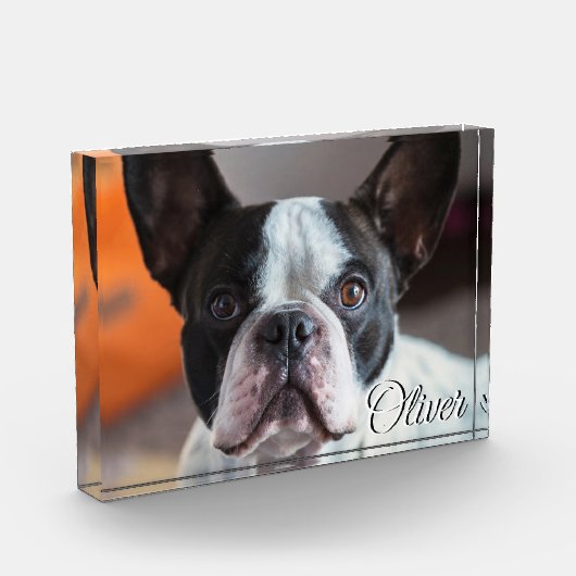 ペット追悼・愛犬の喪失 名前 写真 引用文 スクリプト (左)