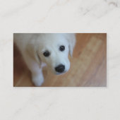 ペット関連の名刺 名刺 (裏面)