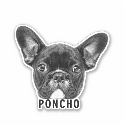 ペット顔の写真と名前のステッカスタマイズクをアップロード シール (正面)