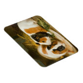 ペット食べ物を与え豚 マグネット (右側)