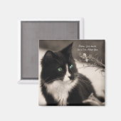 ペット養子縁組はハートを救い、猫を飼う マグネット (正面/裏面)