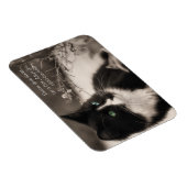 ペット養子縁組はハートを救い、猫を飼う マグネット (右側)