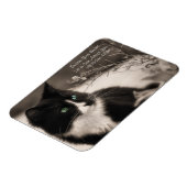 ペット養子縁組はハートを救い、猫を飼う マグネット (左側)