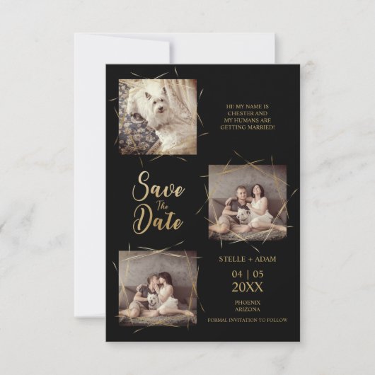 ペット黒スタイリッシュ書モダン3枚フォト (正面)