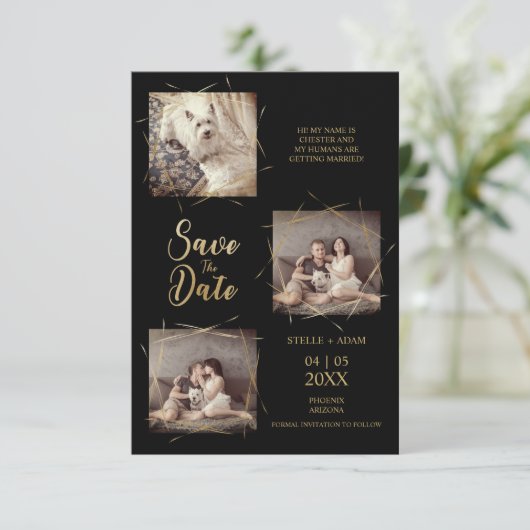 ペット黒スタイリッシュ書モダン3枚フォト (スタンド正面)