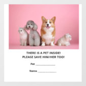 ペット1頭の緊急救助 ウィンドウサイン (シート)