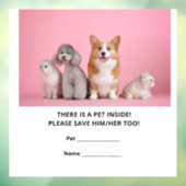 ペット1頭の緊急救助 ウィンドウサイン (シート3)