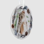 ペット1stクリスマスウィンターリースクリスマス オーナメント (正面)