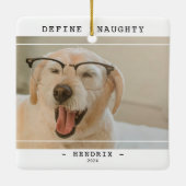 ペット「おもしろい定義」写真のいけなクリスマス セラミックオーナメント (裏面)