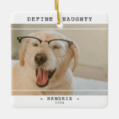 ペット「おもしろい定義」写真のいけなクリスマス セラミックオーナメント (正面)