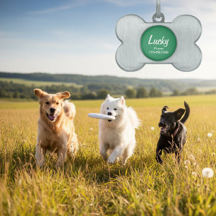 ペット カスタマイズ可能なkeychainのためのドッグカラーIDのラベル ペットネームタグ