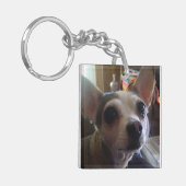 ペット キーホルダー (正面左)