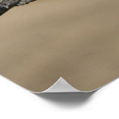 ペット・ピジョン ポスター (角)