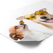 ペット ポスター (角)