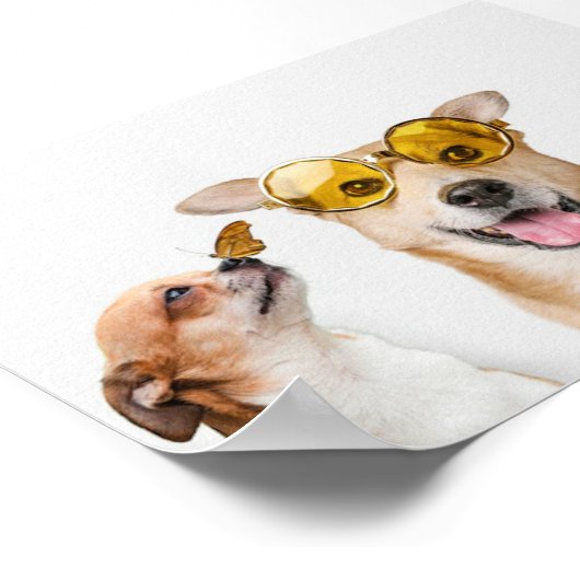 ペット ポスター (角)