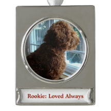 ペット/人（個人設定）