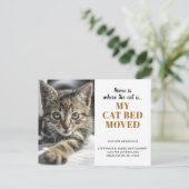 ペット 引越し おもしろ 猫 写真 グッズ 案内ポストカード (スタンド正面)
