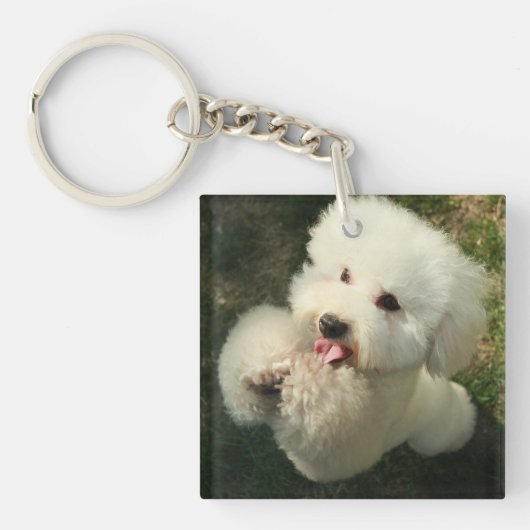 ペット、犬、プードル キーホルダー (正面)