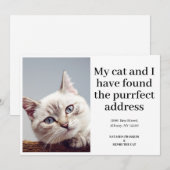 ペット+猫+写真+新しい住所+引越し+お知らせ (正面/裏面)