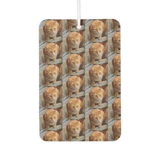 ペット 猫 犬 写真 パーソナライズ カスタム 大型 カーエアーフレッシュナー (正面)