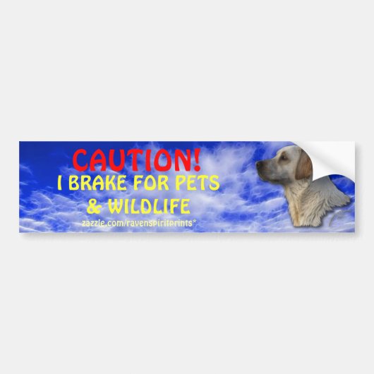 ペット&野生動物安全バンパーステッカー バンパーステッカー (正面)