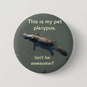 ペットPlatypusボタン 缶バッジ