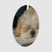 ペッパーソナライズされたトドッグパピーオーナメント オーナメント (正面)