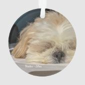 ペッパーソナライズされたトドッグパピーオーナメント オーナメント (裏面)