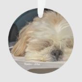 ペッパーソナライズされたトドッグパピーオーナメント オーナメント (正面)