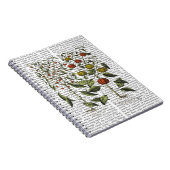 ペッパー4 ノートブック (右側)