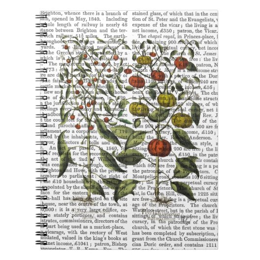 ペッパー4 ノートブック (正面)