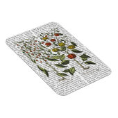 ペッパー4 マグネット (右側)