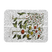 ペッパー4 マグネット (横)