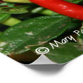 ペッパー ポスター (角)