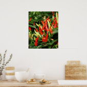 ペッパー ポスター (キッチン)