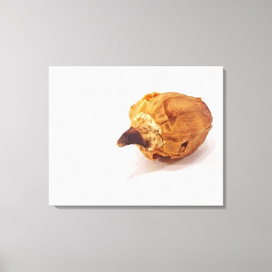 ペッパー・ポッド キャンバスプリント (正面)