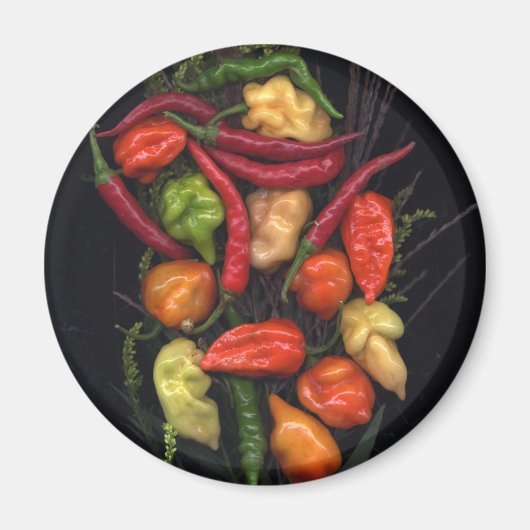 ペッパー マグネット (正面)