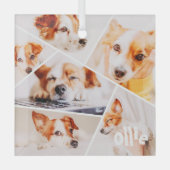 ペッモダントシンプルカスタム6画像丁合写真 ガラスオーナメント (正面)