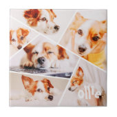 ペッモダントシンプルカスタム6画像丁合写真 タイル (正面)