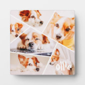 ペッモダントシンプルカスタム6画像丁合写真 フォトプラーク (正面)