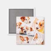 ペッモダントシンプルカスタム6画像丁合写真 マグネット (正面/裏面)