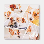 ペッモダントシンプルカスタム6画像丁合写真 マグネット (正面)