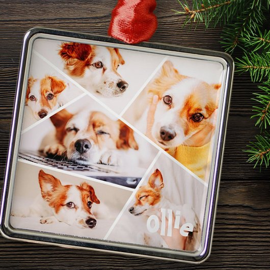 ペッモダントシンプルカスタム6画像丁合写真 メタルオーナメント