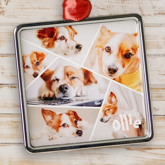 ペッモダントシンプルカスタム6画像丁合写真 メタルオーナメント