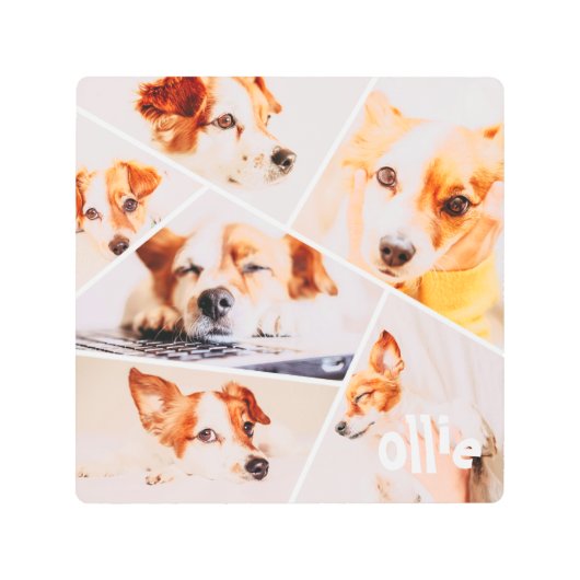 ペッモダントシンプルカスタム6画像丁合写真 メタルプリント (正面)