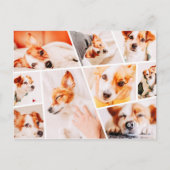 ペッモダントシンプルカスタム9画像コラージュ写真 案内ポストカード (正面)