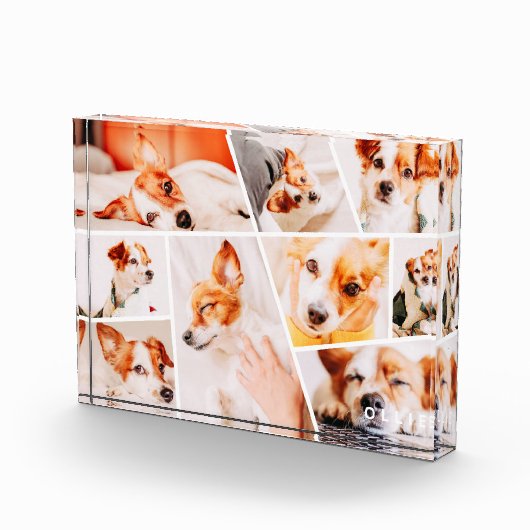 ペッモダントシンプルカスタム9画像コラージュ フォトブロック (右)